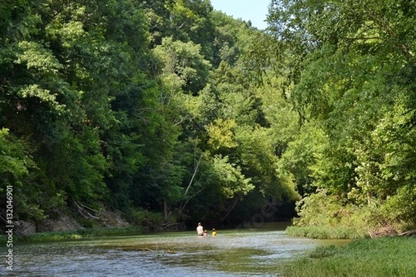 Fototapeta summer at the creek
