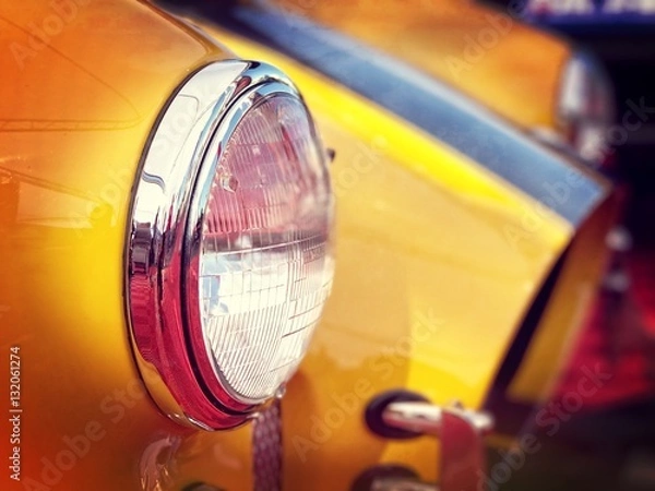 Obraz Cobra 1