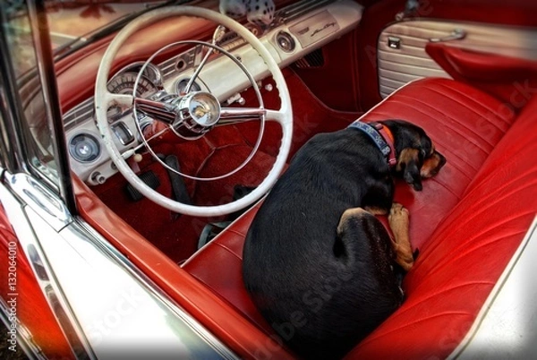 Obraz Custom Car