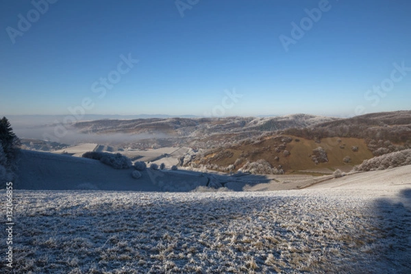 Fototapeta Frosty Frozen Kaiserstuhl Germany
