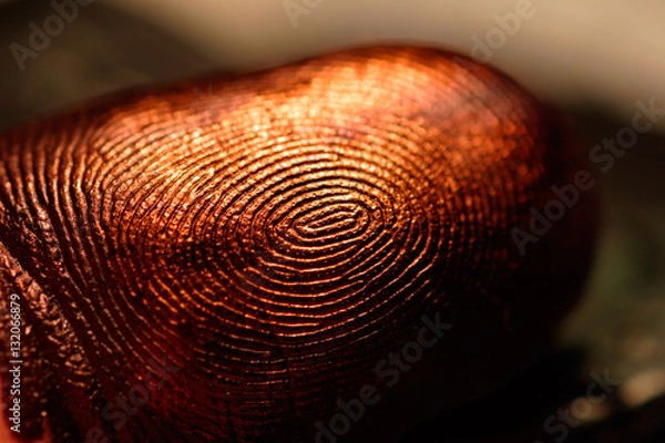 Obraz Coppery fingerprint