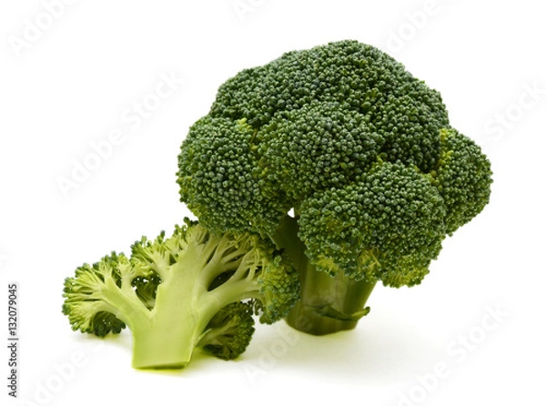 Obraz fresh broccoli on the white background