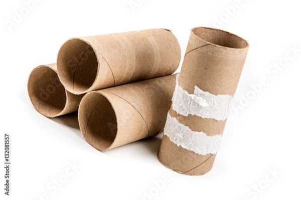 Obraz Several empty toilet paper rolls isolated on a white background