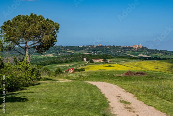 Obraz Panorama in Val d'Orcia
