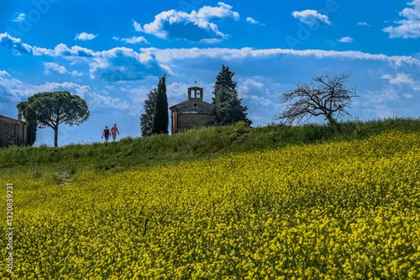 Obraz Panorama in val d'Orcia
