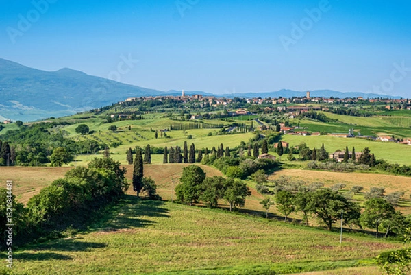 Obraz Panorama toscano in Val d'Orcia