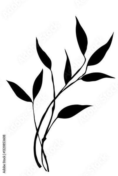 Obraz A minimalist silhouette of delicate leaves gracefully arranged on a slender branch, a study in contrasts, evoking a sense of peaceful simplicity. Silhouette of Branch.