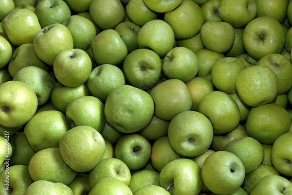 Fototapeta Äpfel