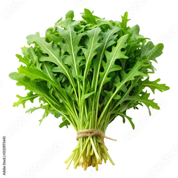Obraz Rucola Bunch Isolated on White Background
