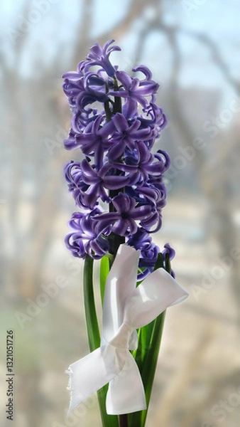 Fototapeta Blue hyacinth in a pot on the window against the background of a spring landscape, selective focus, vertical orientation.