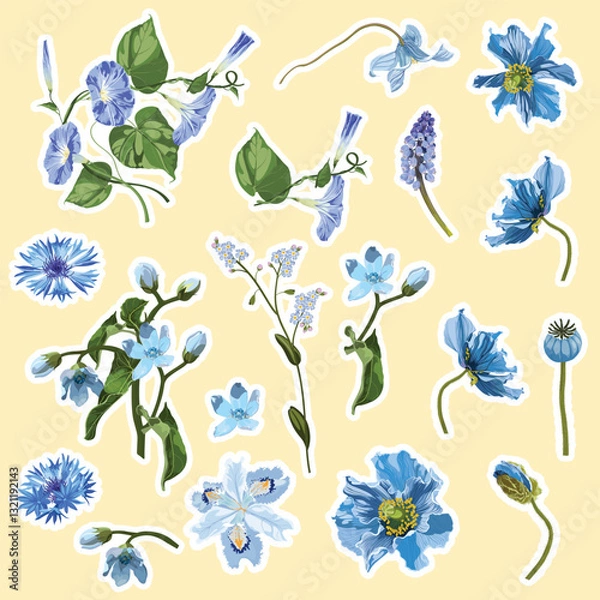 Obraz Set of blue spring flowers elements. Set of stickers, pins, patches and handwritten notes collection stikers kit.