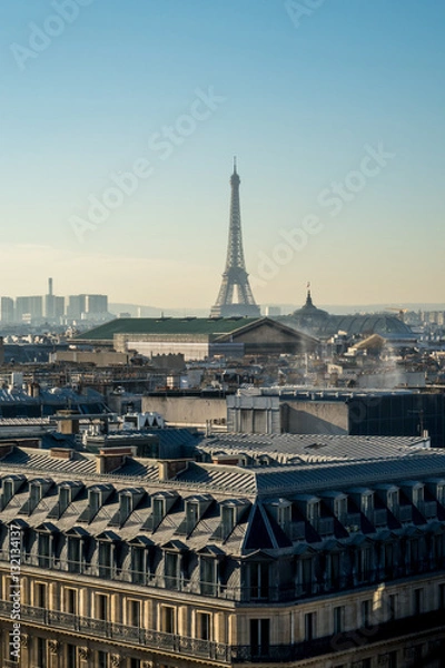 Obraz View of the roofs of Paris.