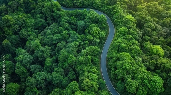 Fototapeta Aerial View of a Winding Road in a Lush Jungle Surrounded by Greenery and Mountains