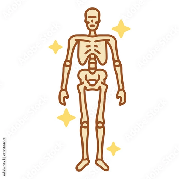 Fototapeta Skeleton Illustration: A detailed illustration of a human skeleton, rendered in a simplified, cartoonish style with a light beige color and brown outlines, highlighted by yellow sparkles.  