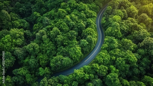 Fototapeta Aerial view of a winding road through dense forest and vibrant green foliage surrounded by mountains