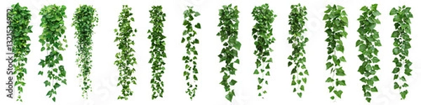 Obraz Lush green hanging vines ivy and dense foliage creating a decorative natural background  Vibrant and organic botanical elements perfect for interior design nature and environmental concepts