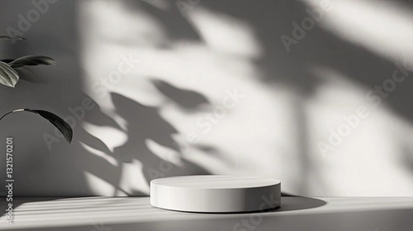 Fototapeta Soft-focus gray background with realistic product placement shadows for e-commerce photography