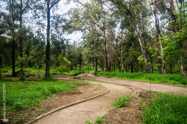 Obraz Roads