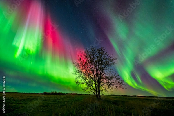 Fototapeta Amazing aurora borealis display with brilliant colors
