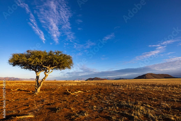 Obraz Lone tree on dry plain