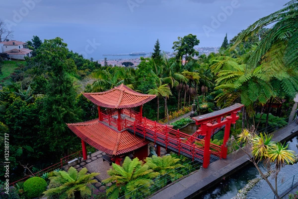 Obraz Funchal