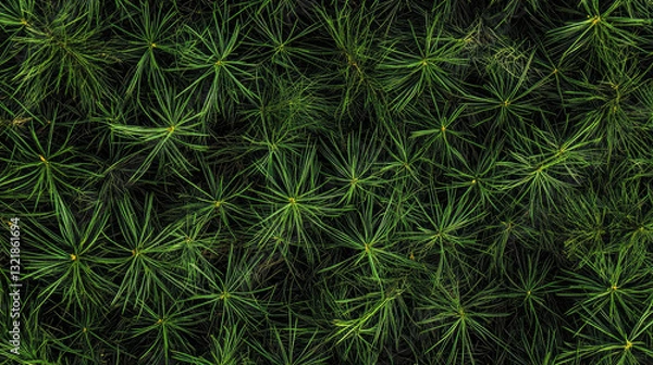 Fototapeta Pine Branches Densely Cover the Ground, Creating a Lush Green Landscape in Early Spring