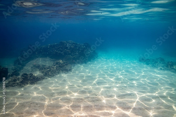 Obraz underwater world wide angle