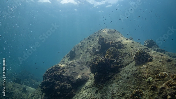 Obraz underwater scene with coral reef