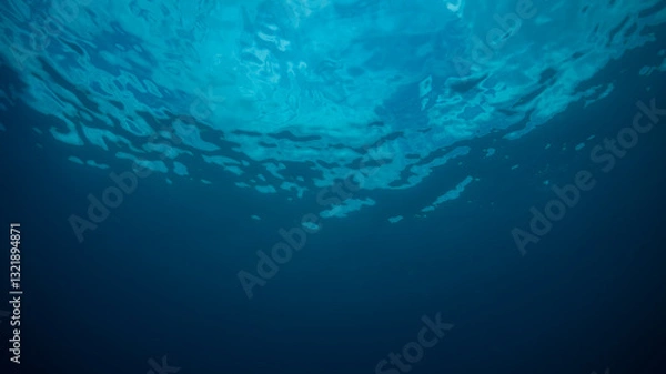 Obraz underwater world map