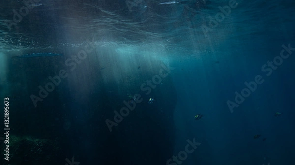 Obraz underwater scene with coral reef
