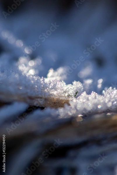Fototapeta Frost and icy crystals after cold and frosty night show beautiful icy nature with sparkling ice crystals in morning sunshine melting away like snow in the sunshine