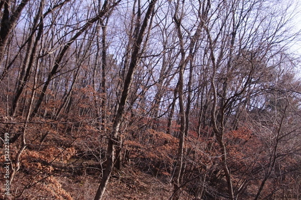 Fototapeta 남한산성