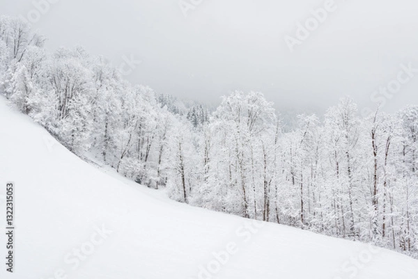 Fototapeta Winter landscape with snowy trees, view during mountain hike on hiking trail. Winter day with cloudy and foggy weather.