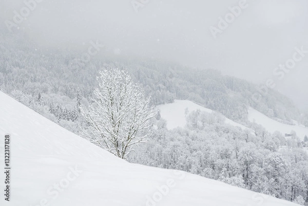 Fototapeta Winter landscape with snowy trees, view during mountain hike on hiking trail. Winter day with cloudy and foggy weather.