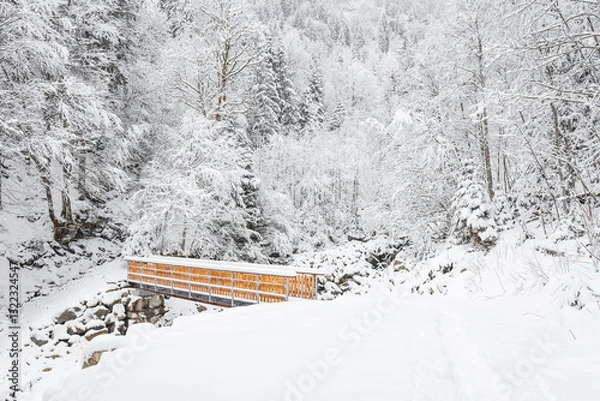Fototapeta Small footbridge over mountain river, winter landscape on mountain hiking trail. Snowy trail and trees on winter day.