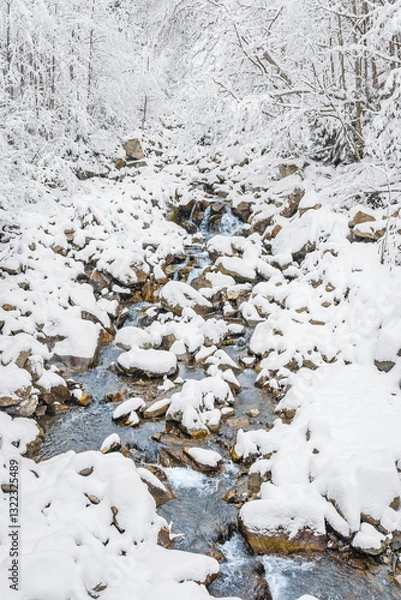 Fototapeta Mountain river in winter, water flows down the riverbed over snow-covered rocks. Winter landscape on a mountain hiking trail.