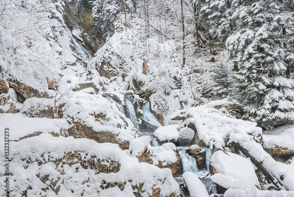 Fototapeta Mountain river in winter, water flows down the riverbed over snow-covered rocks. Winter landscape on a mountain hiking trail.