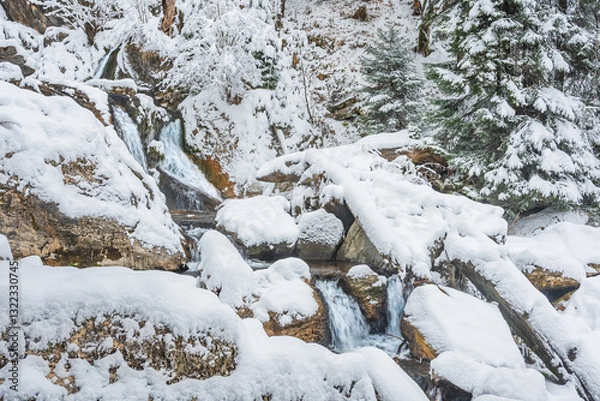 Fototapeta Mountain river in winter, water flows down the riverbed over snow-covered rocks. Winter landscape on a mountain hiking trail.