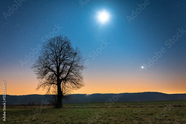 Fototapeta Night landscape, conjunction of the moon and the planet Jupiter, one tree against the stars in the mountains. Long exposure of the night sky.