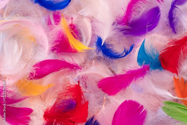 Fototapeta Colorful feather background, top view.