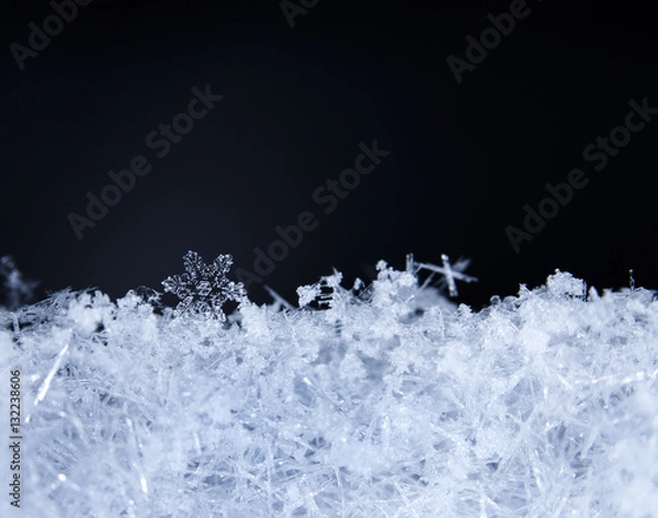 Fototapeta natural snowflakes on snow, photo real snowflakes during a snowfall, under natural conditions at low temperature