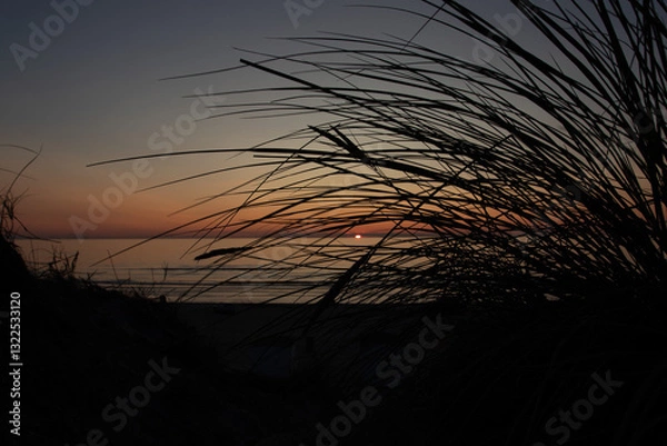 Obraz sunset in the beach