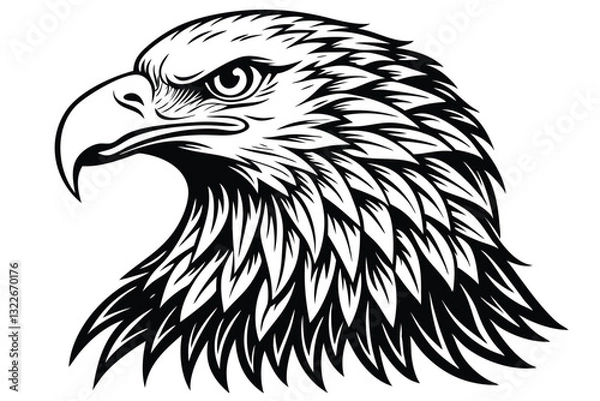 Obraz Eagle Face Silhouette Bald Eagle Head Vector