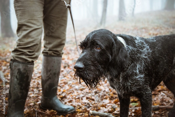 Obraz Jäger mit Hund