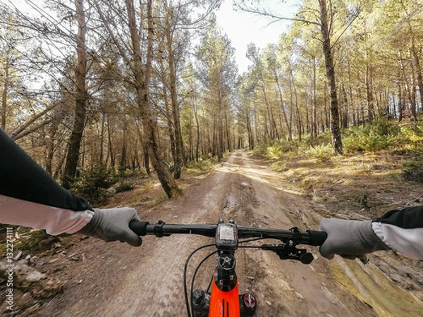 Obraz POV mountainbiking action: enduro riding on the Alps
