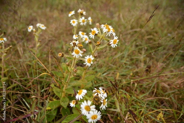 Obraz landscape views and nature.