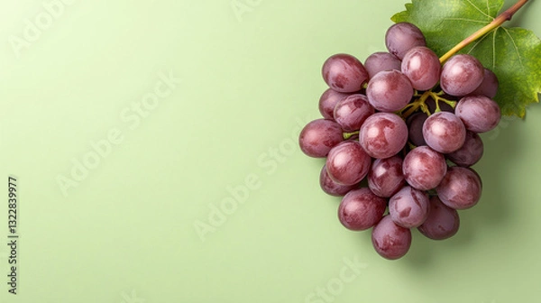 Fototapeta Fresh purple grapes on light green background, showcasing their vibrant color and texture