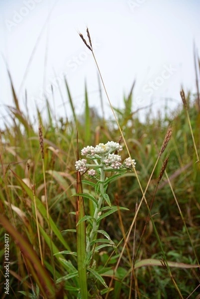 Obraz landscape views and nature.