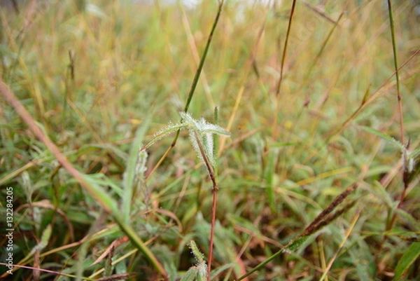 Obraz landscape views and nature.