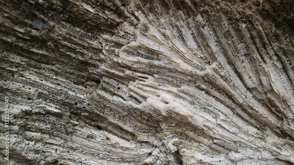 Fototapeta Stunning Natural Pattern of Fossilized Dead Coral Reefs Texture Close-Up